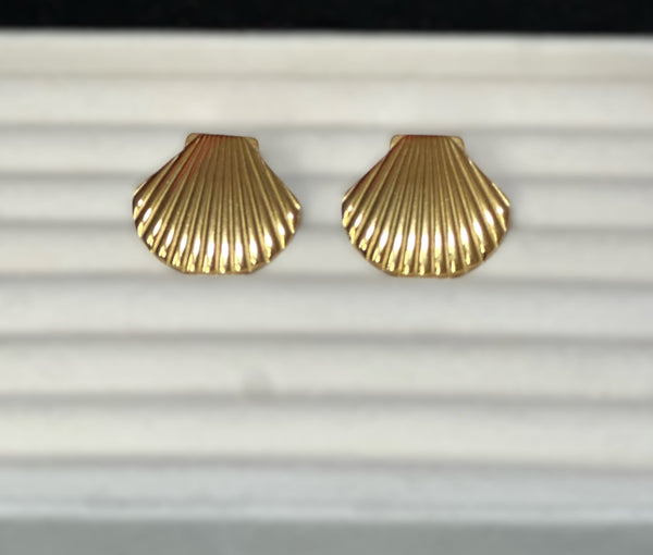 Shell Stud earrings